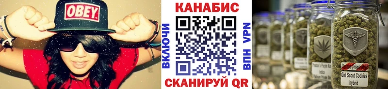 что такое   Няндома  Бошки Шишки план 